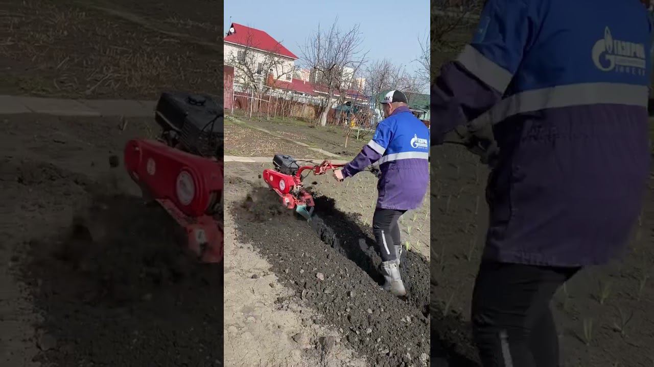 Открыл огородный сезон, за 13 тыс купил два мотоблока смотреть онлайн