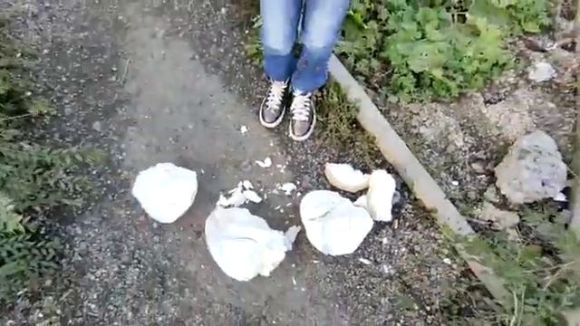 В ЭТО невозможно поверить... Аномальный ГРИБ смотреть онлайн