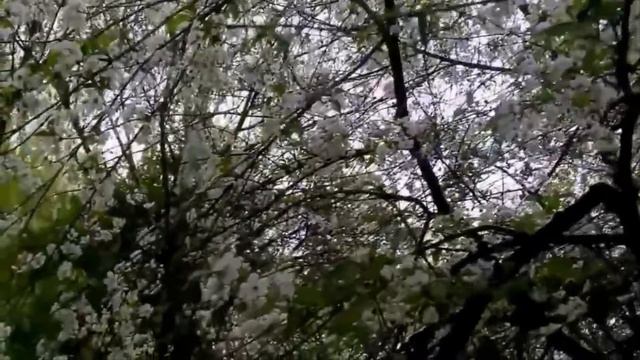 Когда цвели сады смотреть онлайн