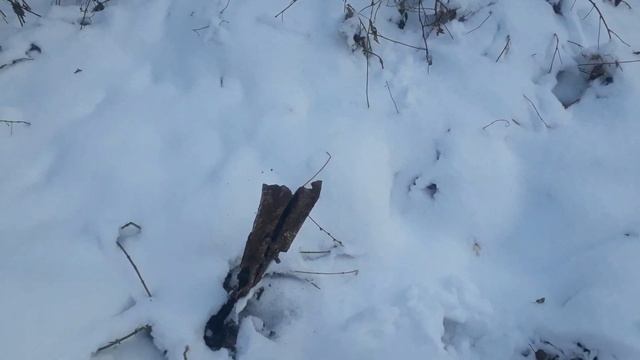 Отдых на природе. смотреть онлайн