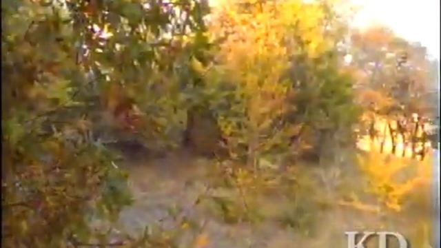 Саратов. Осень на Лысой горе. 1991 год смотреть онлайн