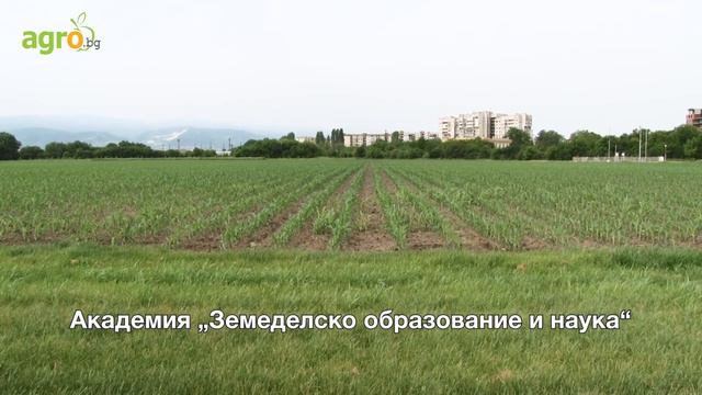 Академия „Земеделско образование и наука“ набира курсисти смотреть онлайн