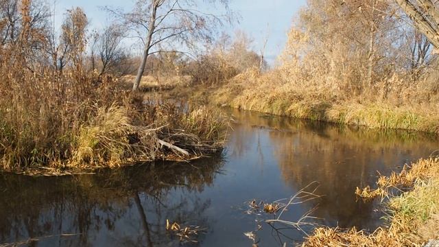 Последний теплый день осени, природа 2021г. смотреть онлайн