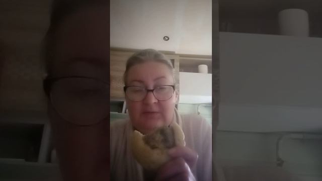 Все, что вы хотели знать, но боялись спросить о тайноплюшковом стартапе! смотреть онлайн