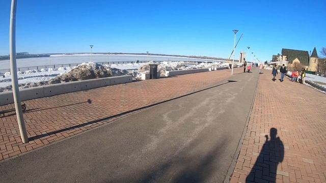 Обзор Tribe ZULU