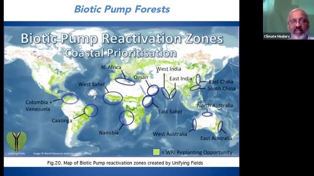 Animal Agriculture Is The Leading Cause Of Climate Change: Section 5 - Lifestyle Carbon Dividend смотреть онлайн