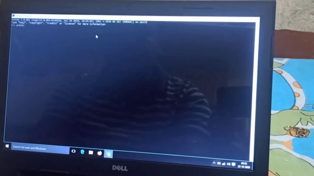 Basic elements of python.. sample program смотреть онлайн