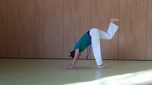 Online šola za super junake | CAPOEIRA | Cavalo & Katjusa смотреть онлайн