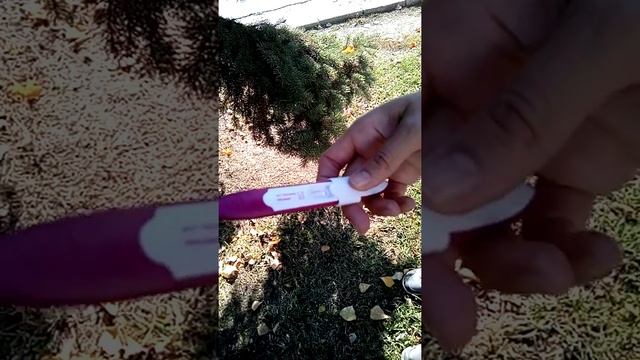 Положителен тест за бременност