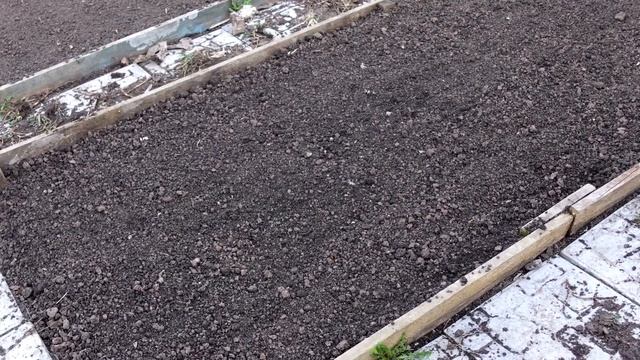 1 ложка и земля плодороднее чернозема! Об этом практически никто не знает. смотреть онлайн