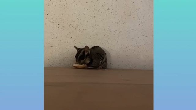 Савелий ❤️