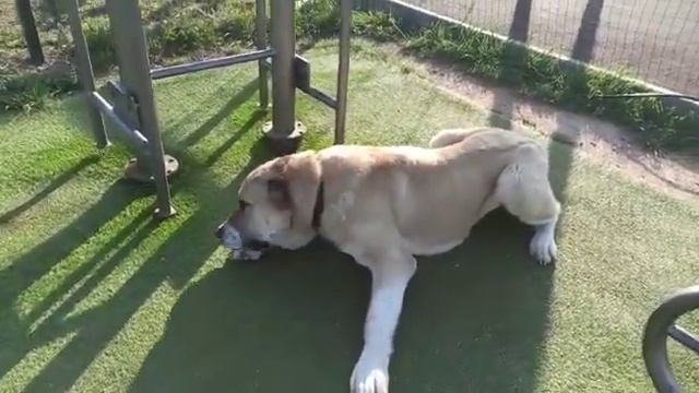 17 апреля 2023 г.