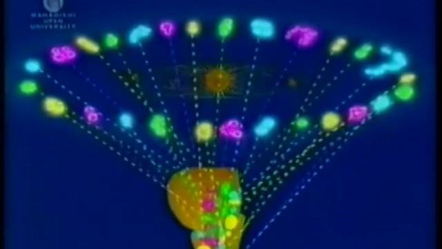 Будда в физиологии человека 2000г. смотреть онлайн