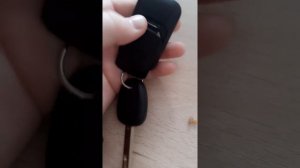 Как заблокировать и разблокировать кнопки брелка Starline