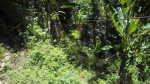 Тайланд Пхукет 2018