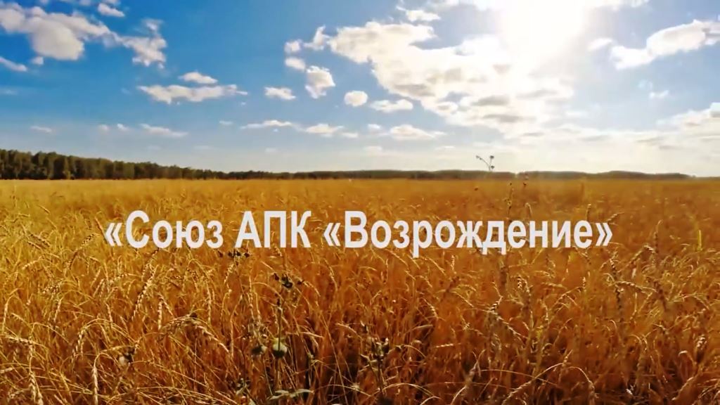 The Union Revival.mp4 смотреть онлайн