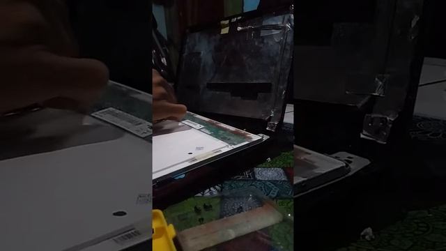 Ganti LCD Asus Eee PC 1215P смотреть онлайн