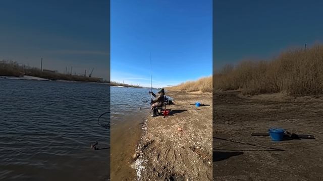 Фидерный заброс удилищем Nautilus Zenon Feeder 3.9 90гр. #фидер #рыбалка #заброс #feeder смотреть онлайн