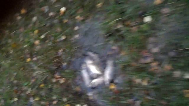 Рыбалка новое 19.09.13 г. смотреть онлайн