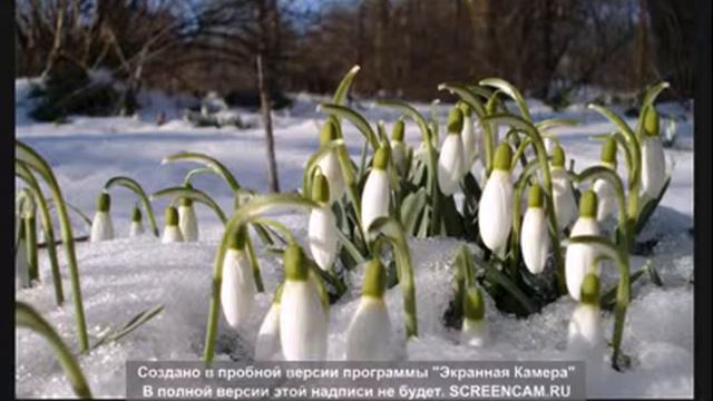 С праздником весны 8 марта! смотреть онлайн