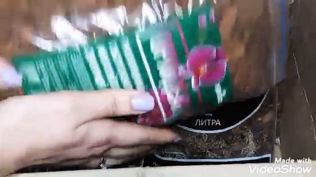 Где покупаю отличную кору для орхидей/Скидка 10% в описании//Посылка/Кора, мох, уголь. смотреть онлайн