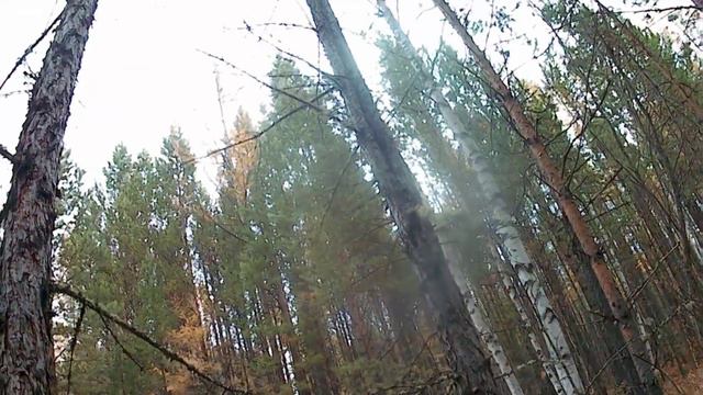 Хатсан аэр такт.Охота на рябчиков в 2021 смотреть онлайн