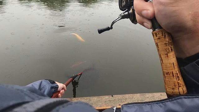 Troutmania. Весеннее обострение. Золотые рыбки смотреть онлайн