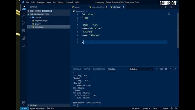 #8 Python tutorial for beginners | String Methods смотреть онлайн
