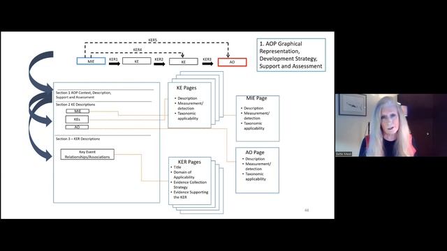 Recent improvements and future challenges for the Adverse Outcome Pathway framework & the AOP-Wiki смотреть онлайн