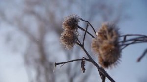 Ансамбль Сельские зори  -  Деревеньки