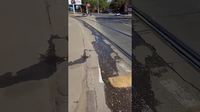 Сточная канава вдоль ул. Ляпидевского смотреть онлайн