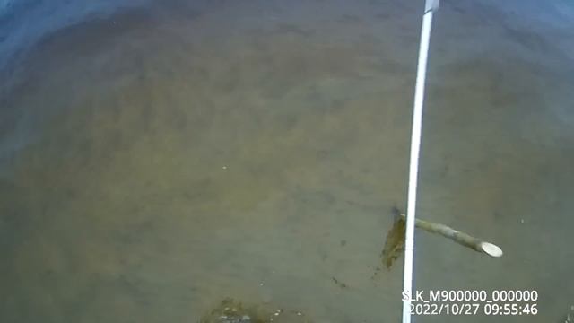 Проверка крючков на налима 27 10 2022 смотреть онлайн