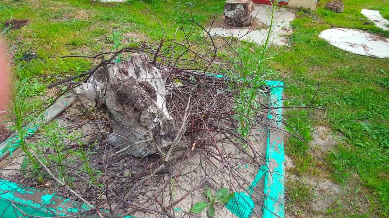 20220710 На даче смотреть онлайн
