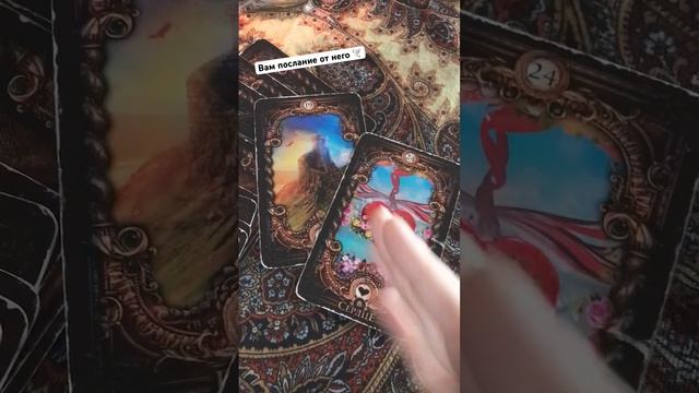 #посланиевселенной #посланиерода #советоткарт #гаданиеонлайн #егомысли #раскладонлайн смотреть онлайн