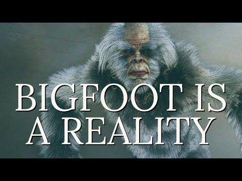 GOVERNMENT ACKNOWLEDGMENT OF BIGFOOT | They Finally Go Public смотреть онлайн