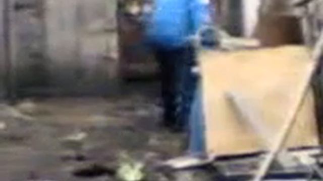 Саня гоняет кур 2006 год смотреть онлайн