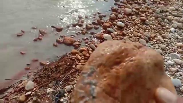 Penemuan Viral, Hamparan Sejuta Batu Fosil, Bongkahan Batu Mulia, Treasure Hunter