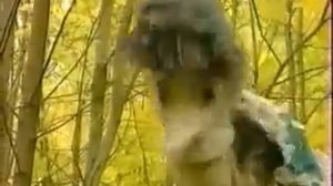 там, где живёт паутиныч