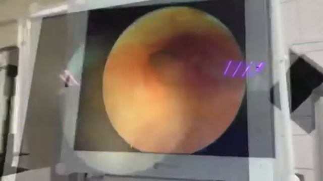 Новости и обзоры книг