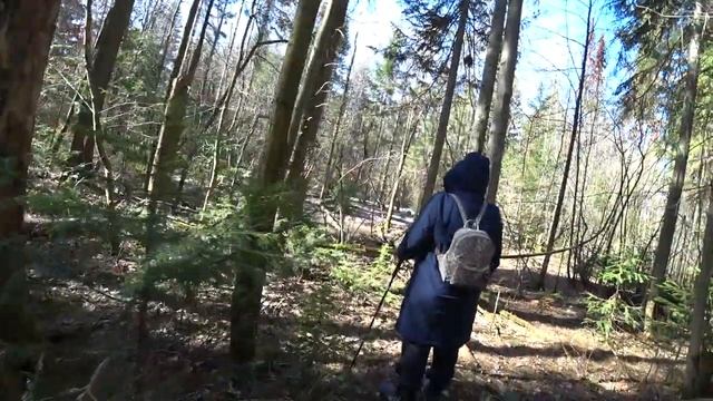 Апрельский лес. Пермь. 11 апр 2023 смотреть онлайн