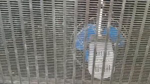 мтз ели перегрев двигателя