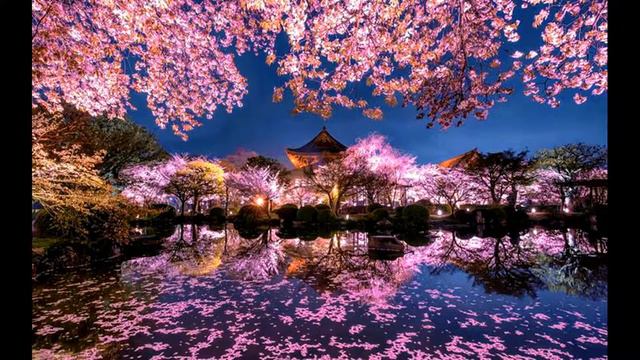 flute music |RELAXING MUSIC YOUR MIND| BODY AND SOUL |yoga music, Meditation music*7* смотреть онлайн