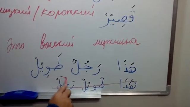 арабский язык для начинающих - как построить правильный порядок предложения в арабском языке #33 смотреть онлайн