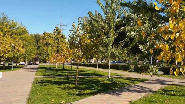 Волгоград/Казанский собор/осень ? смотреть онлайн