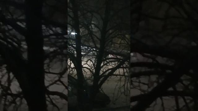 Зимний дрифт