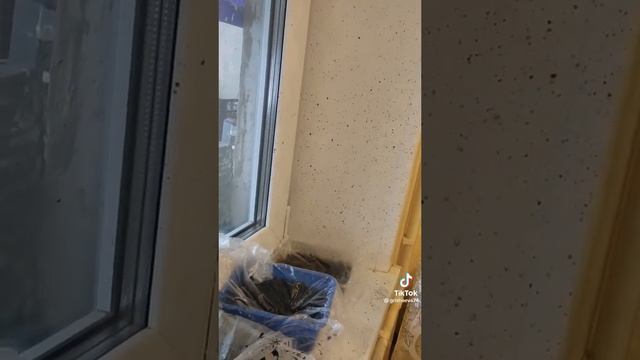 кот Бегемот и его затея смотреть онлайн