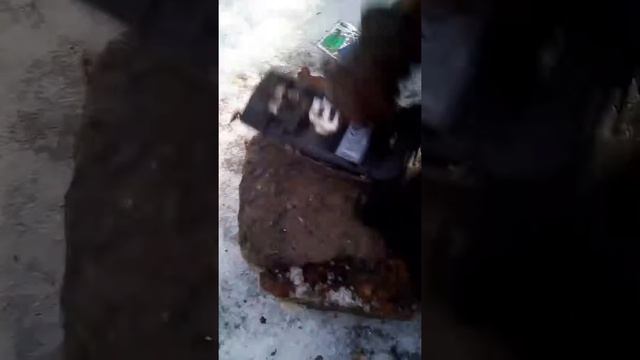 Вставьте?? и подписывайтесь на канал и про колокольчик не забудьте смотреть онлайн