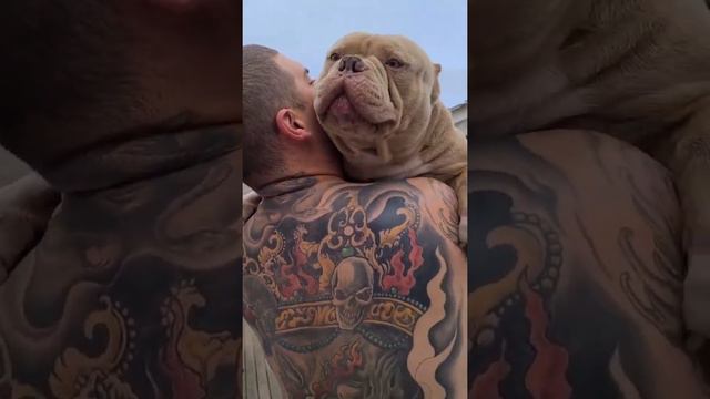 Whatsapp status 🐕🐕🔥 смотреть онлайн