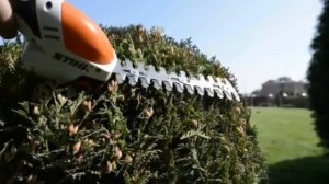 КАК ВЫБРАТЬ КУСТОРЕЗ ИЛИ САДОВЫЕ ЭЛЕКТРОНОЖНИЦЫ.