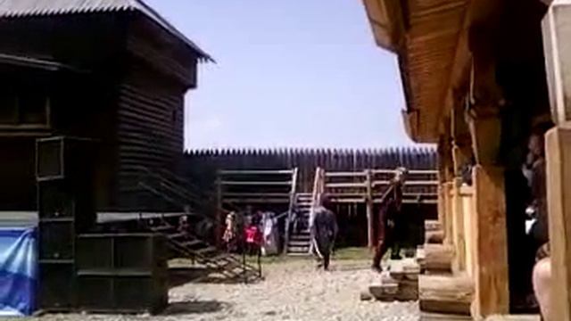 Душевная казачья песня смотреть онлайн